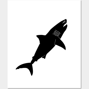 Megalodon Posters and Art